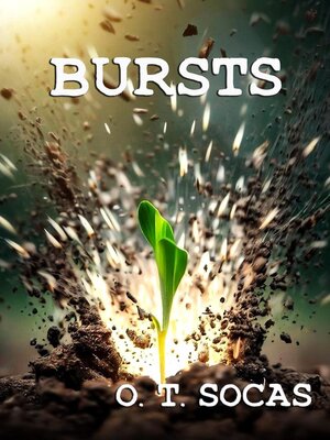 cover image of Bursts